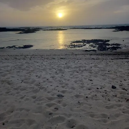 Delfines * Κοραλέχο